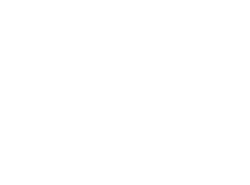 Laura Melotti - Consulting